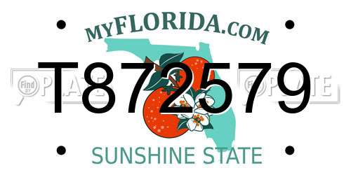 T872579 Florida License Plate