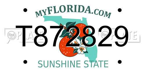 T872829 Florida License Plate