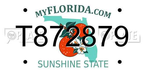 T872879 Florida License Plate