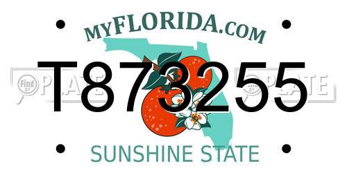 T873255 Florida License Plate