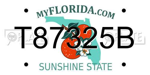 T87325B Florida License Plate