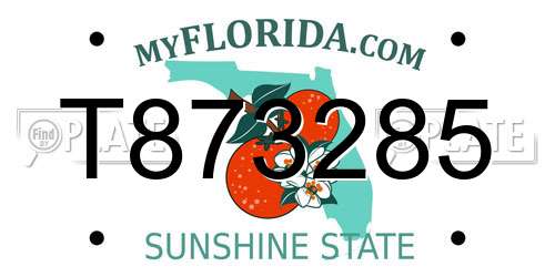 T873285 Florida License Plate