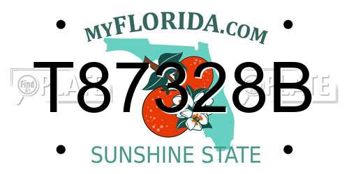 T87328B Florida License Plate