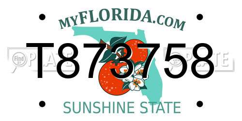 T873758 Florida License Plate