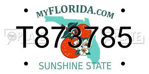T873785 Florida License Plate