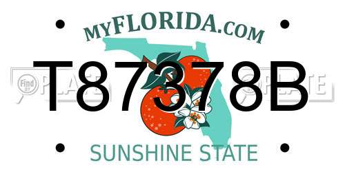 T87378B Florida License Plate