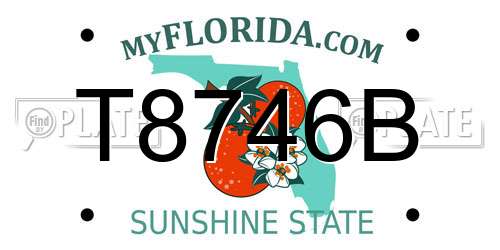 T8746B Florida License Plate