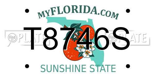 T8746S Florida License Plate
