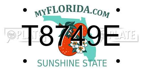 T8749E Florida License Plate