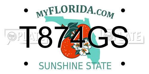 T874GS Florida License Plate