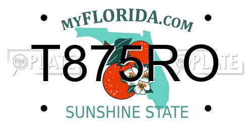 T875RO Florida License Plate