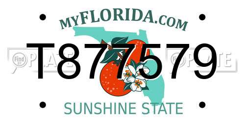 T877579 Florida License Plate
