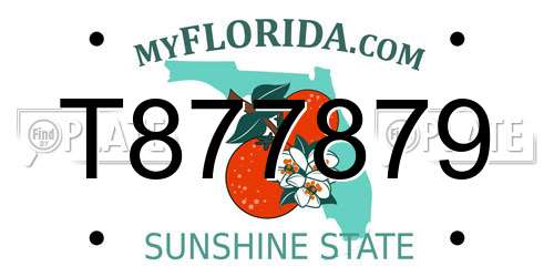 T877879 Florida License Plate