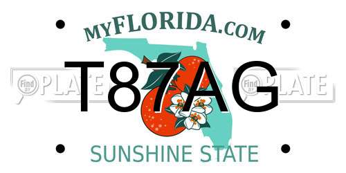 T87AG Florida License Plate