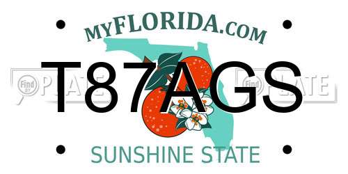T87AGS Florida License Plate