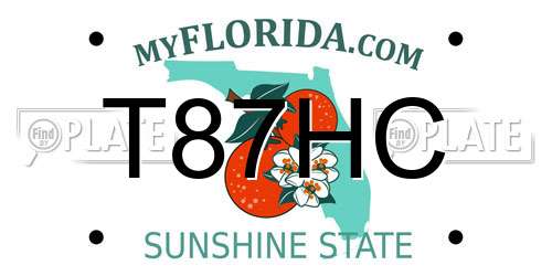 T87HC Florida License Plate