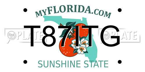 T87ITG Florida License Plate