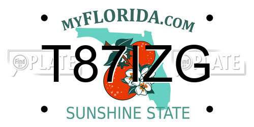 T87IZG Florida License Plate
