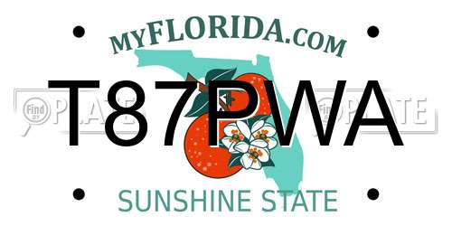 T87PWA Florida License Plate
