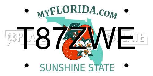 T87ZWE Florida License Plate