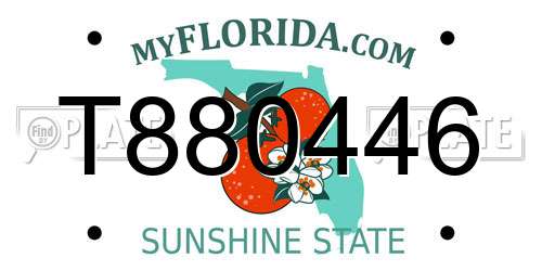 T880446 Florida License Plate