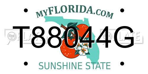 T88044G Florida License Plate