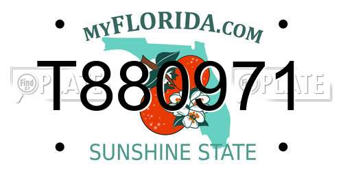 T880971 Florida License Plate
