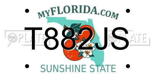 T882JS Florida License Plate