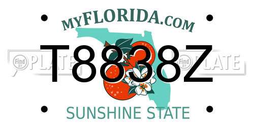 T8838Z Florida License Plate