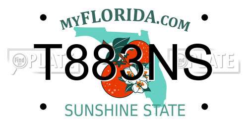 T883NS Florida License Plate