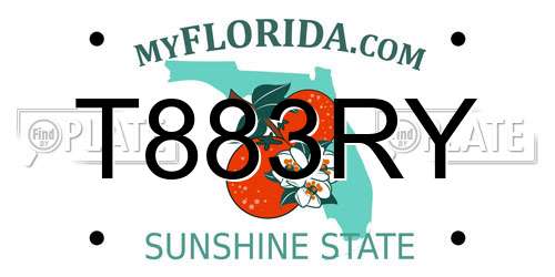 T883RY Florida License Plate