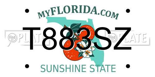 T883SZ Florida License Plate