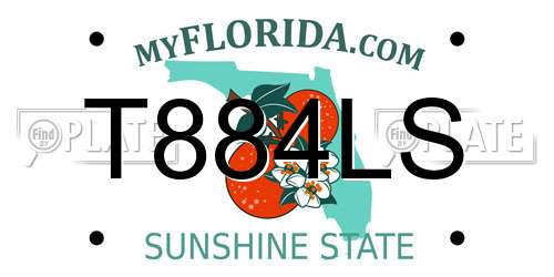 T884LS Florida License Plate
