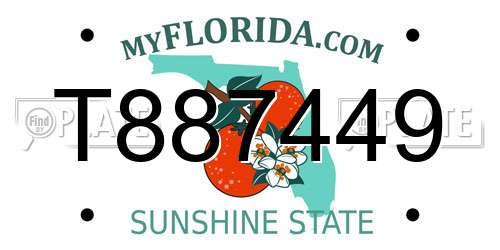 T887449 Florida License Plate