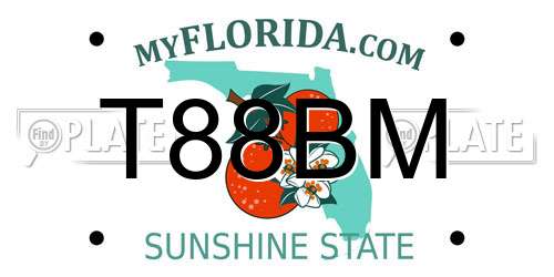 T88BM Florida License Plate