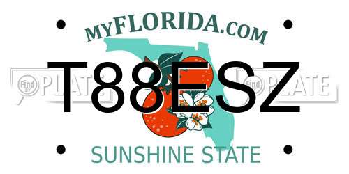 T88ESZ Florida License Plate