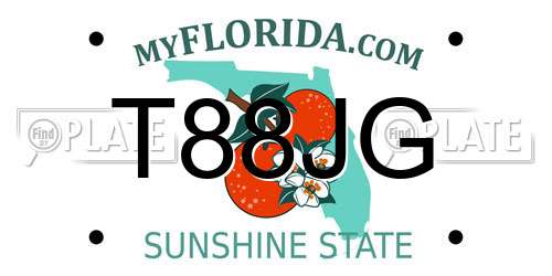 T88JG Florida License Plate