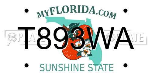 T893WA Florida License Plate