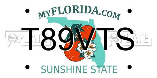 T89VTS Florida License Plate