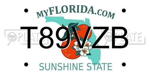 T89VZB Florida License Plate
