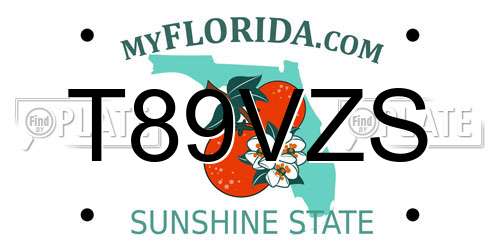 T89VZS Florida License Plate