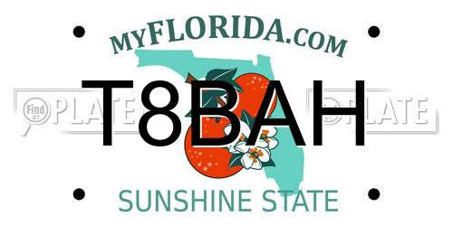 T8BAH Florida License Plate