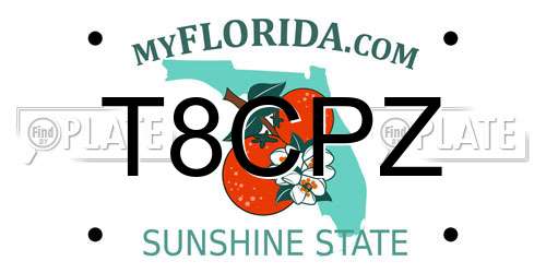 T8CPZ Florida License Plate