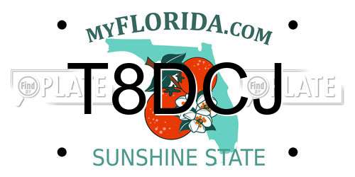 T8DCJ Florida License Plate