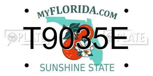 T9035E Florida License Plate