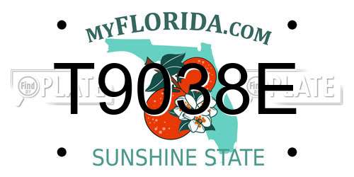 T9038E Florida License Plate