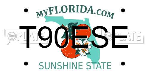 T90ESE Florida License Plate