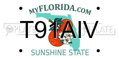 T91AIV Florida License Plate