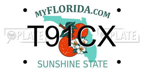 T91CX Florida License Plate
