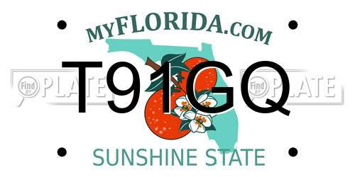 T91GQ Florida License Plate